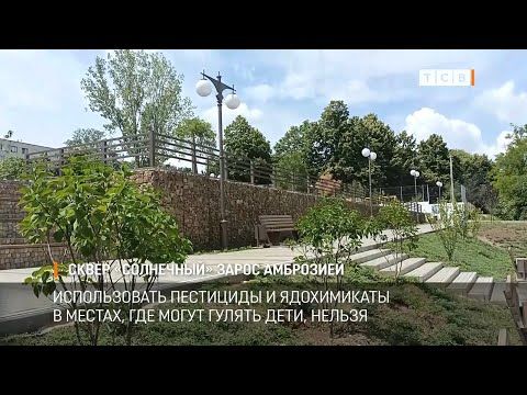 � ����� ���������� ������� �������� ������� ��������. �������� ������� ��������� �������� �����, ������� �������� � ������ �� ����� �������