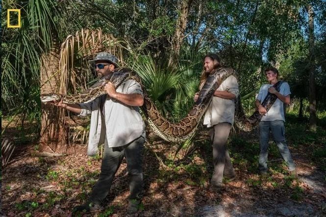 �� ������� ����� ������-�����������: ��� ����� ���� ����� 5 ������ �� ������ �� �����, � ��� � ����� 100 �����������