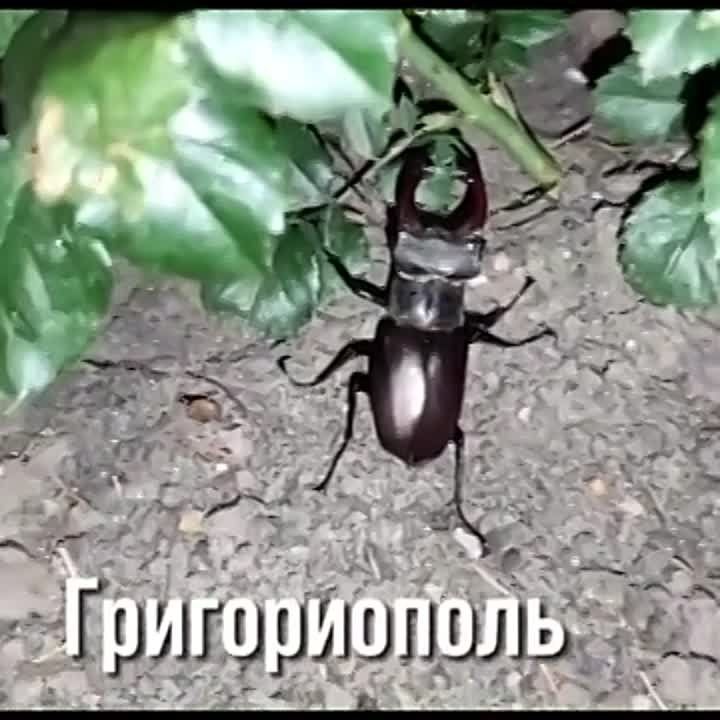 �� ���� ���� ��� �������� ��������� ����� � �������������� ������