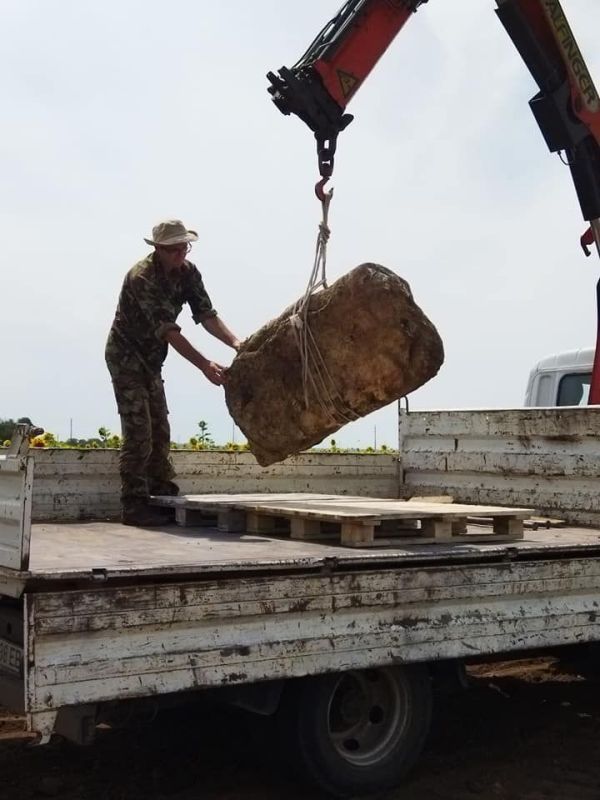 ��������� ����� �������� ����, ������ ���������� �������