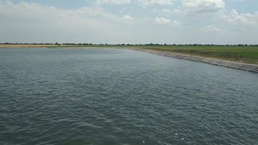 ������������� ������� ���������� ����� �� ������ ������