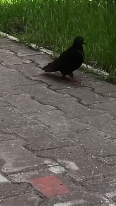 ����� ���, ������ � ������� �� ���