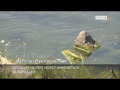 ������� ������� �� ����� ���� �� 30 �����������. ���� � ���� ������ � ��� ���� ������ �����. ����������� �������� ��� ��������������� �������