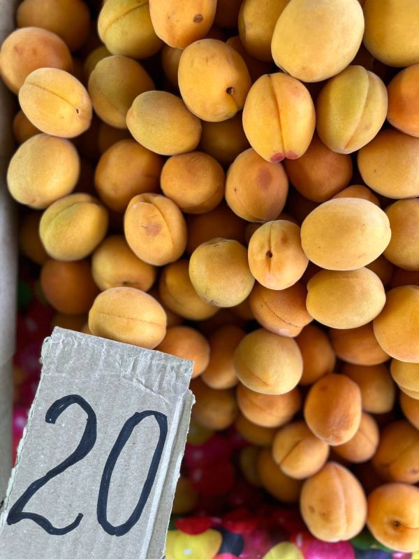 ������ ����� ������� ��������� � ����������