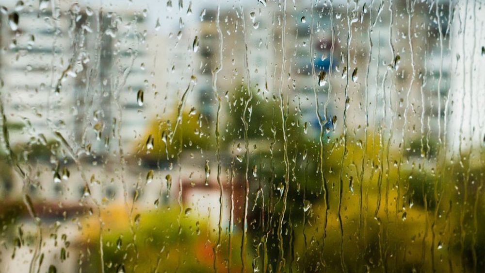 ����� ���� �� ������: �� ������� �������� ������ � �������, �������� ������� � ���������� ������ - � ������������� ��� ��������� ��������� ��������������