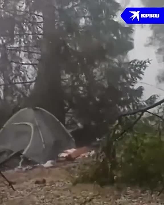 ������ ������ ���������� ������� ������ Kiss �� �������