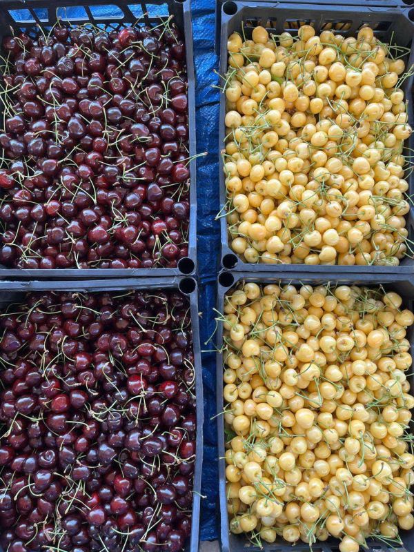 ������� ������ � ����� ������� �� 11 ������