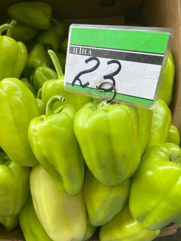 ����� ������� ������� ����: ������� �����