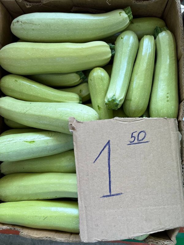 ������� �� 80 ������ �� 3 ������