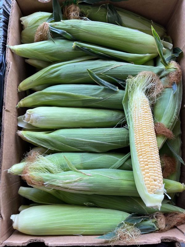 � ��� ����� ����� ��� �� ������� ����� ������� � �������