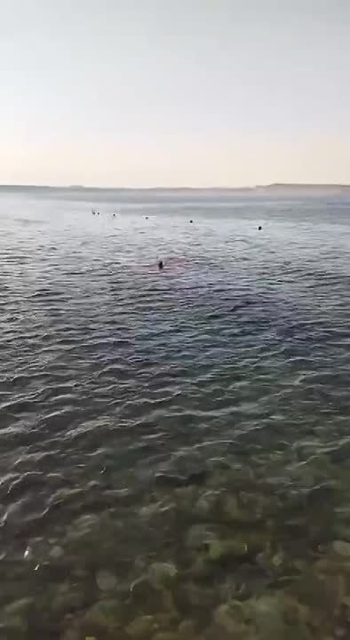 � ������ ����� ������ �� �������� � ��� �������� ������� ���� � ����