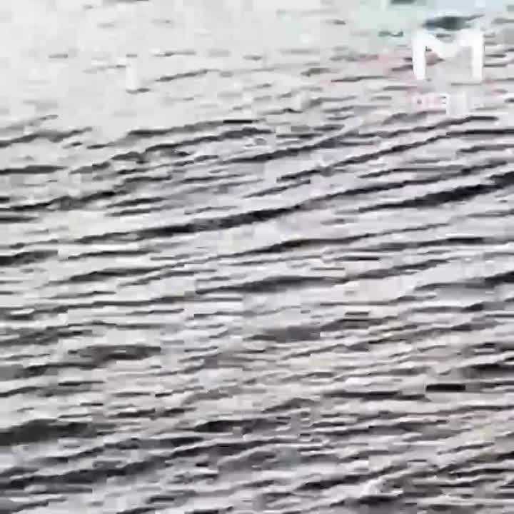 ����� ������ �� �������� �� ������� � ���������� �������