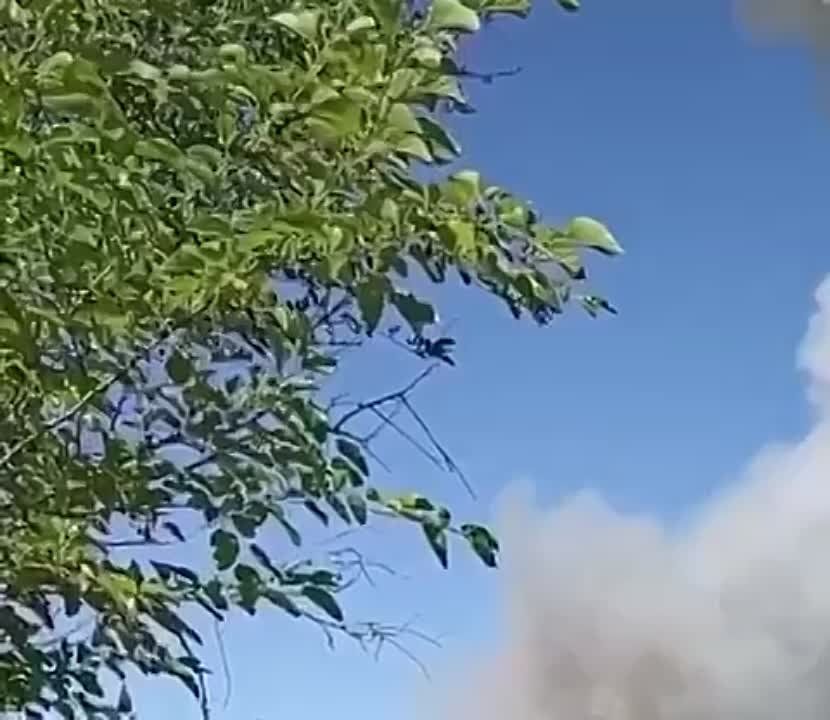 ���������������� ������� �������� ����