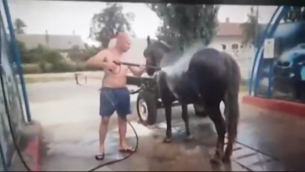 � ������� ����� �� ��������� ����� ������ ��������