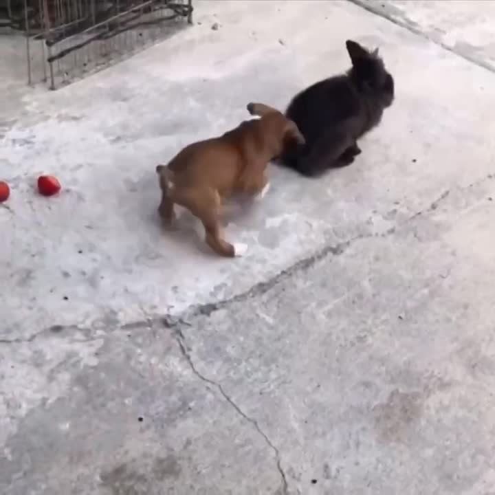 ������� �������� � �����. ����� ������, ��� �� ����