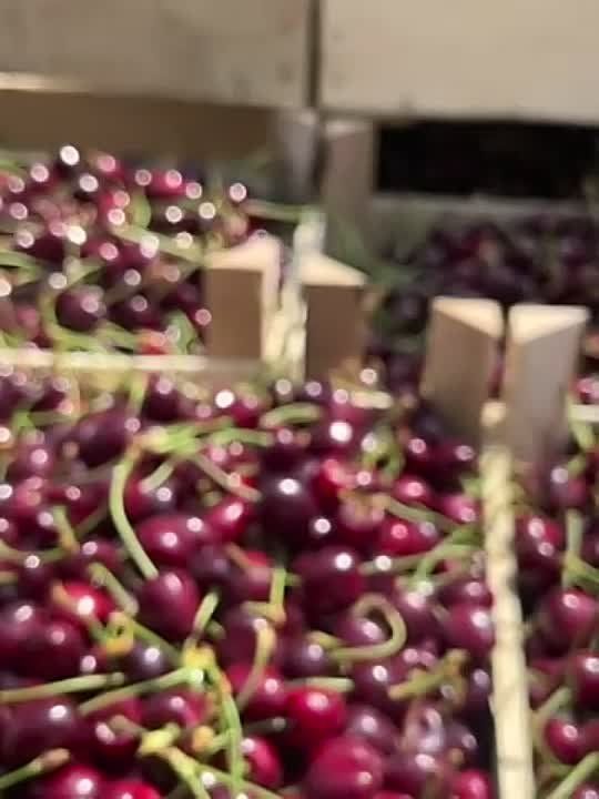 ������, ����� ������� ��� ������? � ������������, ������ � ����, �������� ������� �������