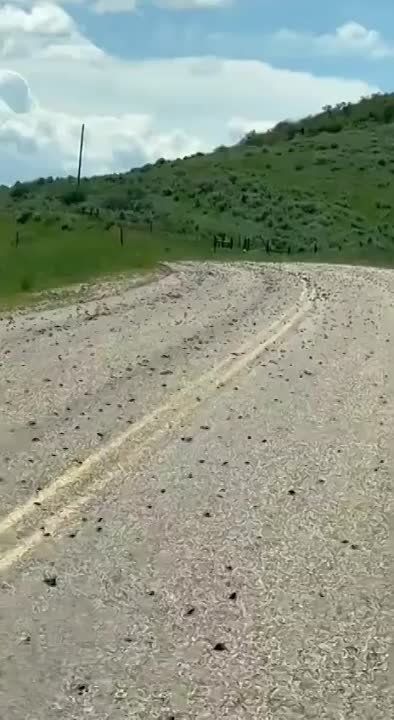 ��� ��������� ���� ���������� ��������