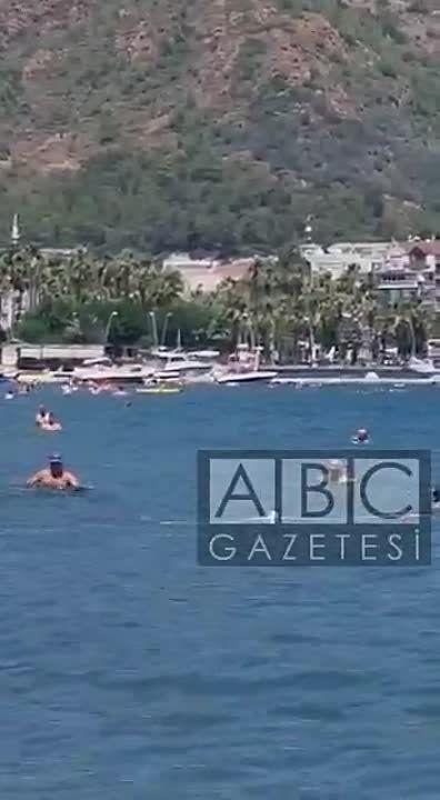 � ����� ��������� ���� �������� �����