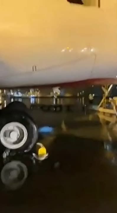 ������� �� ����� 14 ����� ����� � ��������� � ����� � ��������