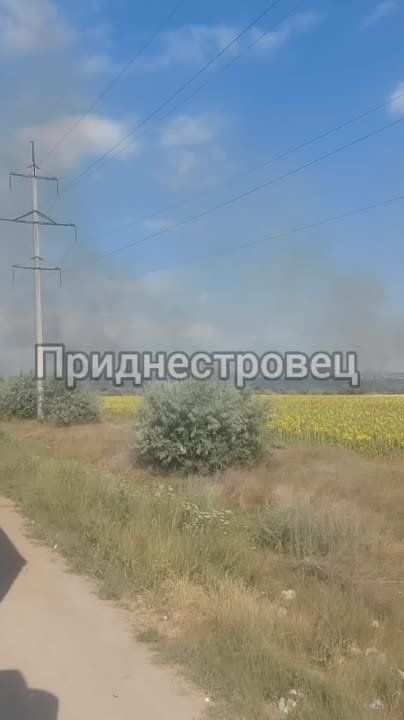 ��������� � �������� ������� �������� ���� �� ����