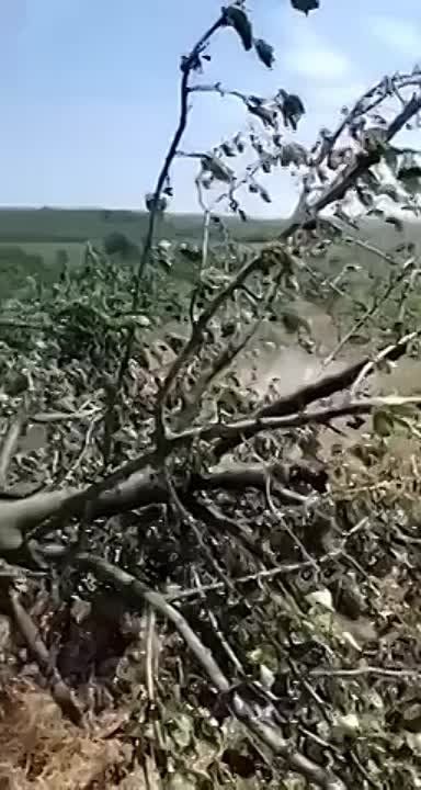 � �������� ������������� ���� � �������, ������� ������� ����������������: ������� �������� ������ ������� ���������