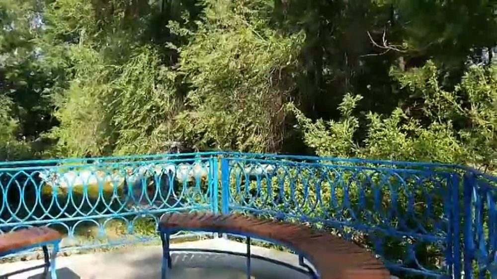 � �������� ����� ������������� ������� ���� ������