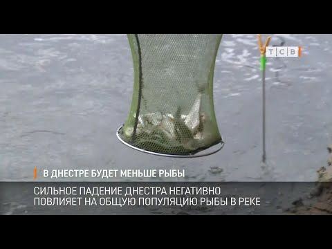 ��������������� ������ ���� �������. ������ ���������� ������, � ���� �� �����, ��� ���� ������ �������� ����, ������ ��������. ��-�� ����� � ��������� ���� ������������ ������� ������� ���� � �������