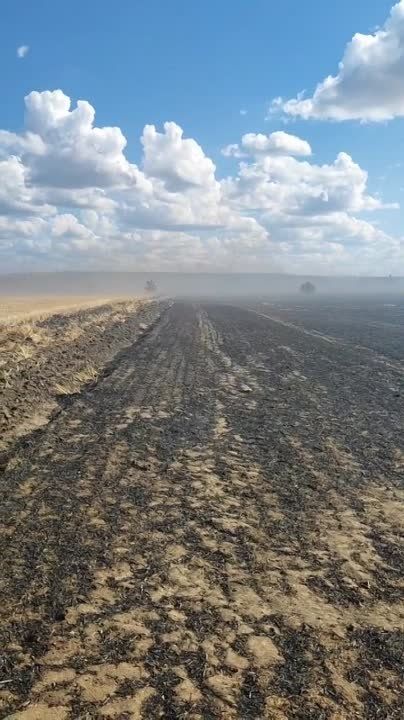 �� ���� ����� ������, ������ ��� �������