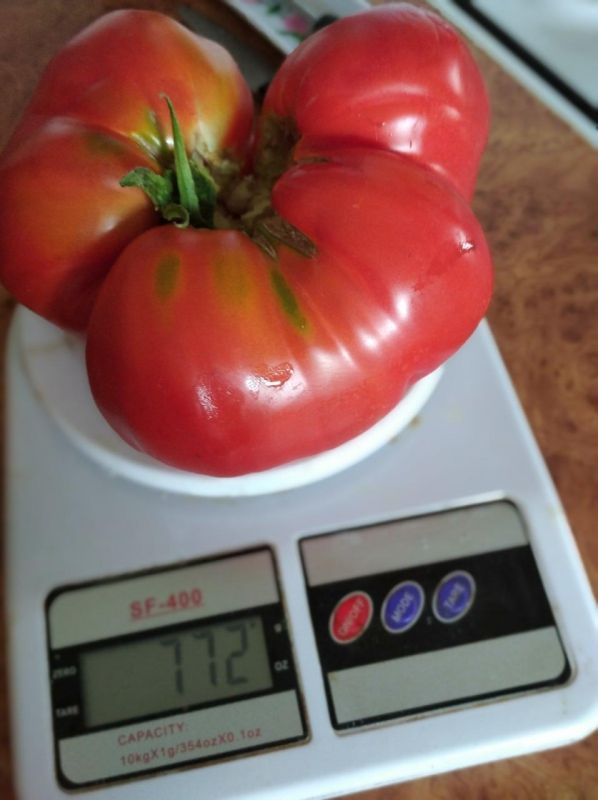 ��������������� ���������� �������� ����������