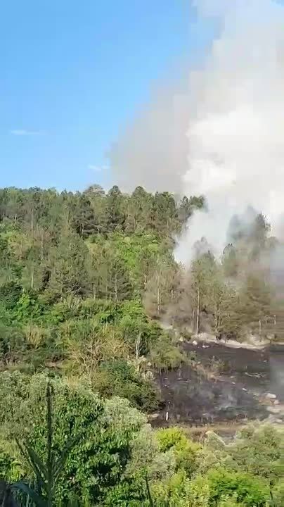 ��������� �����, ���� �����������