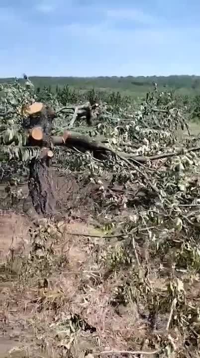 ��-�� �������������� ������� ���������� ������� ������ ������������� ����