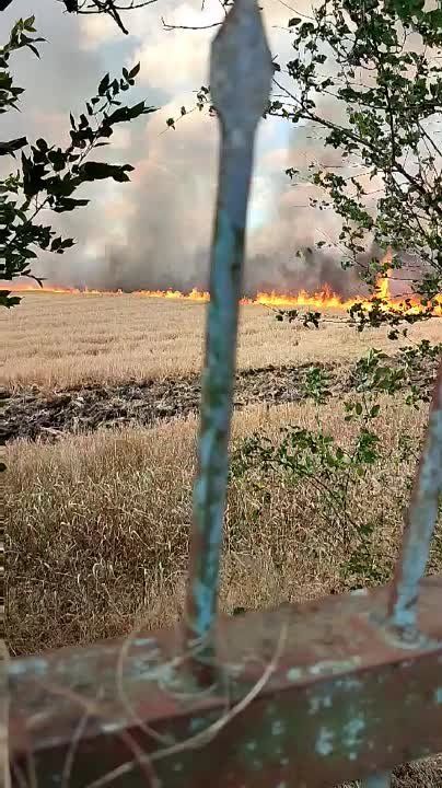 ����� �� ��������� � ��������