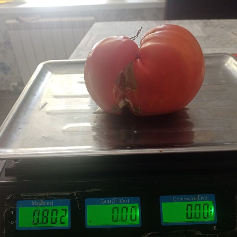 � ��� ����� ���������� ����������