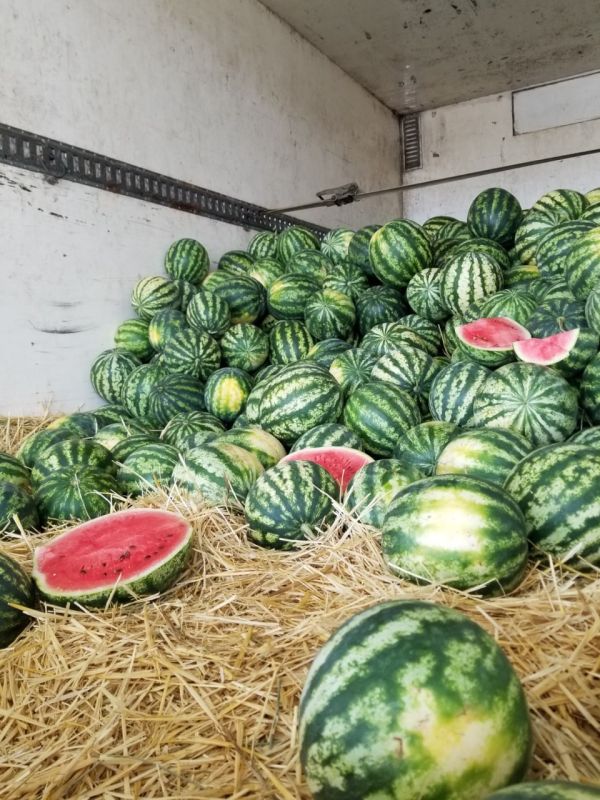 �� ��������� ����� ������� ������� ����� �������