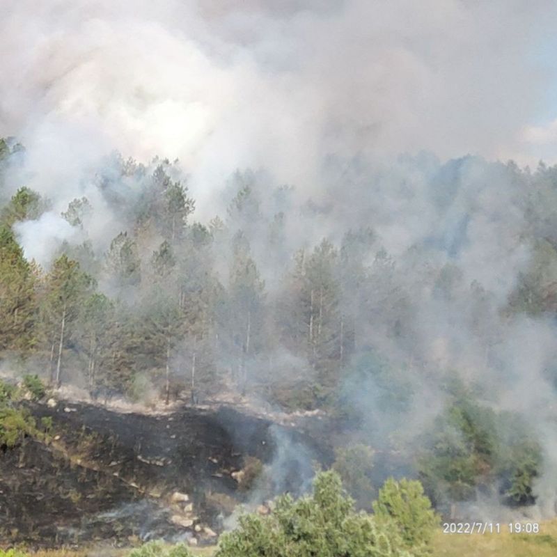 � ������������� ����� ��������� 8 �������� ��������� ����