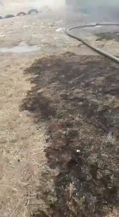 ����������� ������ � ��������