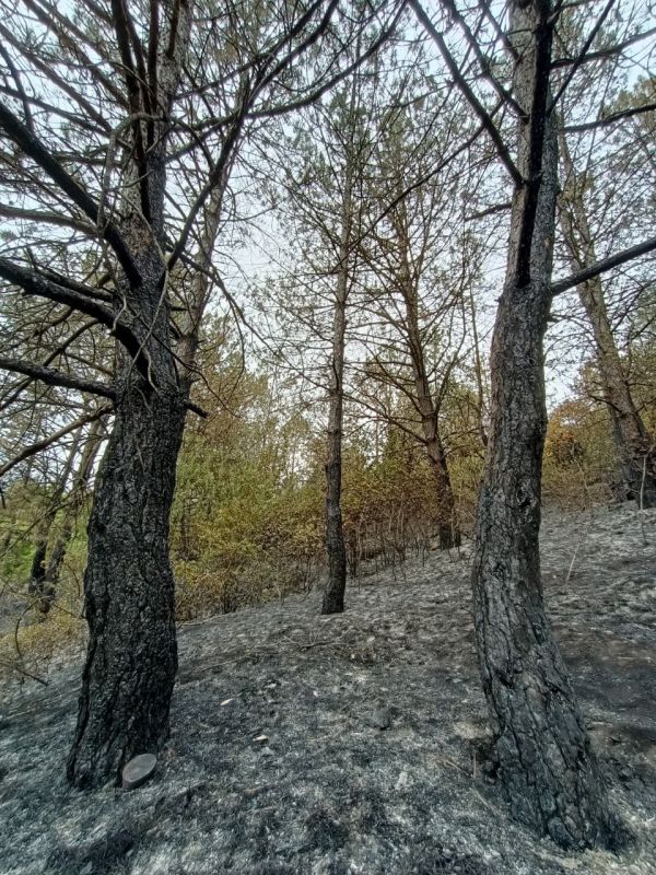 ����������� ������ � �������� ���� � �����������