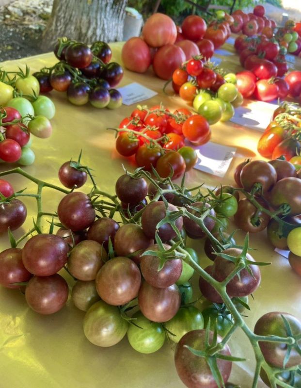 ��������� ���� ���� ���������� ��������� ��� ���� ��������� ��������� � ������