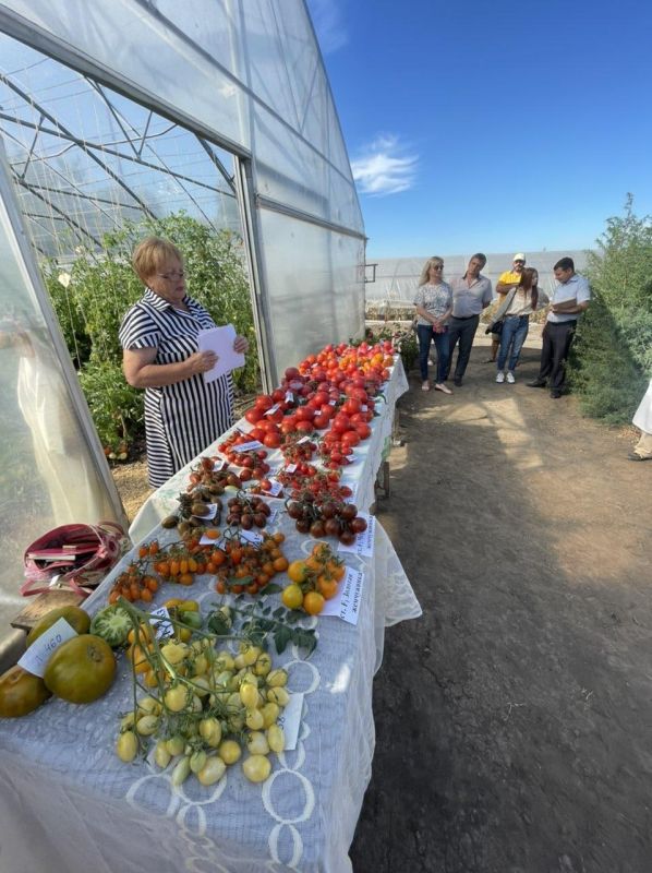 ���� ���� �� ����� ��� ����������� ������ - ��� ������� ���