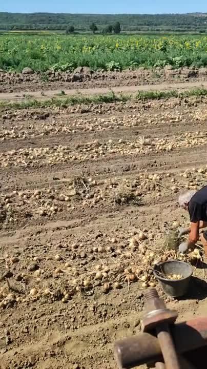 ������ ����� ����.. � ������������� ������ �������� ��� � �������� ��������� ��������. ��� ������ ����, ���������� � ��������. ���� �������, �� ����� ���� ��������. ������� ����� �����. ������� ������ ��������� �������� �� �����, ������� �������