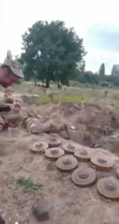 �������� ������������ �� ������, ����� � �������� ������ �� �����