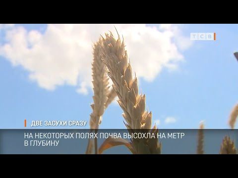 � ������������� ������� ����� 2 ������. ��������������� � ����� ���������� ����, � ������������� � ����� �� ������� ����� � �����, ���������� � ��������������. ������ �� ��������� ����� ����� ������� �� ���� � �������