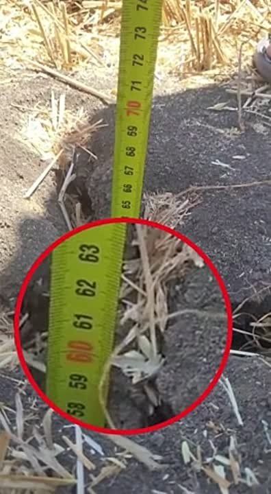 ��������������� ������� �������� ���������