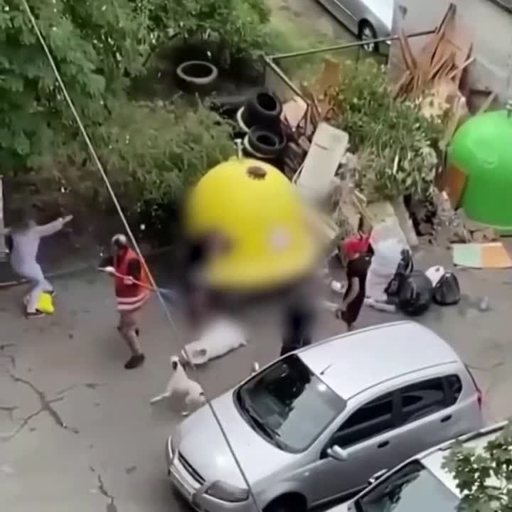 � ������ ������� ������ ��������� ������ ������������ �����