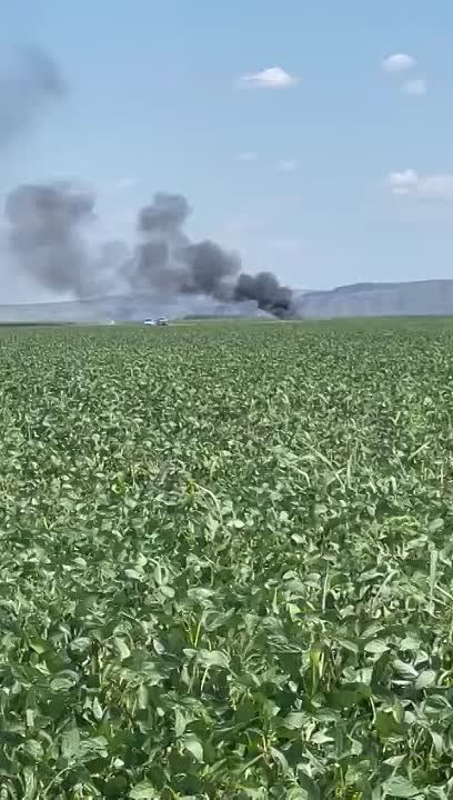 � ������� ���� ������������ ������� ����������� � ��� �������������