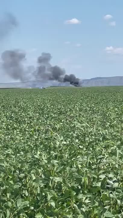 � ������� ���� ������������ ������� �����������