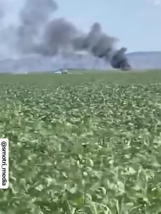 � ������� ���� ������������ ������� ����������� � ��� �������������