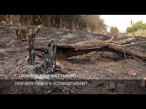 � ���������� �������� ������ � �������� ���� � ���� ����������� ������� 211 ����������� �����. �� ���������� ������, ������� ���������� ��������� 5 � ��������� ��������