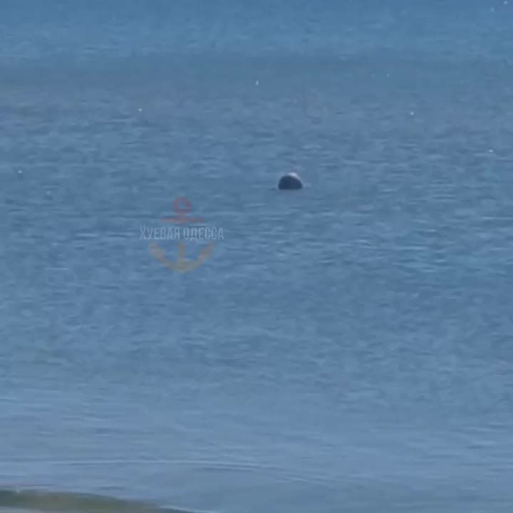 � ��������-������ � ������ �������� ��������� ����