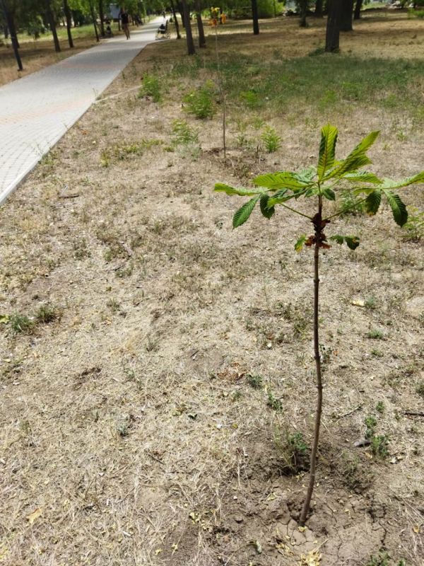 ������ � 20.00 � ���������� ����� ������� ����� �������� ������ �� ��� � �����